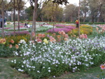 Delhi, ce sont aussi de très beaux parcs… (20/24)