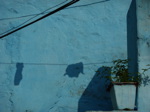 …d'un pan de mur tout bleu à Rishikesh encore…