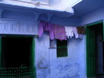 …ou tout mauve à Udaipur dans le Rajasthan.
