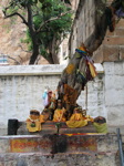 Arbre sacré, temple de Tiruparankundram. Tamil Nadu