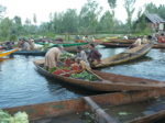 Marché flottant de Srinagar, où vendeurs et acheteurs sont sur des barques. Cachemire