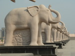 Double rangée de 60 éléphants grandeur nature